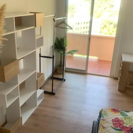 Apartment Superbe 2 Vue Mer Sanguinaires Ajaccio Ajaccio (Corsica)